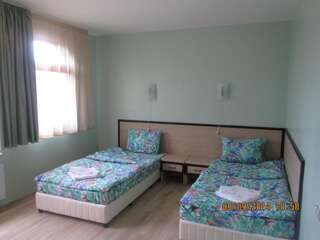 Отель Family Hotel Emaly Green Сапарева-Баня Двухместный номер с 1 кроватью или 2 отдельными кроватями-1